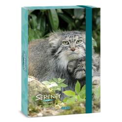 koln box A4 Serenity CAT ARS UNA