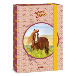 koln box A4 My Sweet Horse ARS UNA