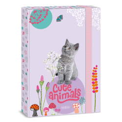 koln box A4 Cute animals Kitten ARS UNA