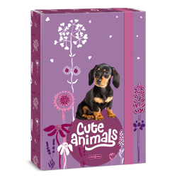 koln box A4 Cute animals Puppy ARS UNA