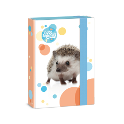 koln box A5 Cute HEDGEHOG ARS UNA