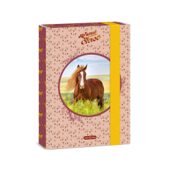 koln box A5 My Sweet Horse ARS UNA