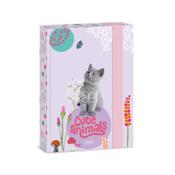 koln box A5 Cute animals Kitten ARS UNA