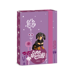 koln box A5 Cute animals Puppy ARS UNA