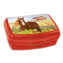 Box na svainu My Sweet Horse ARS UNA